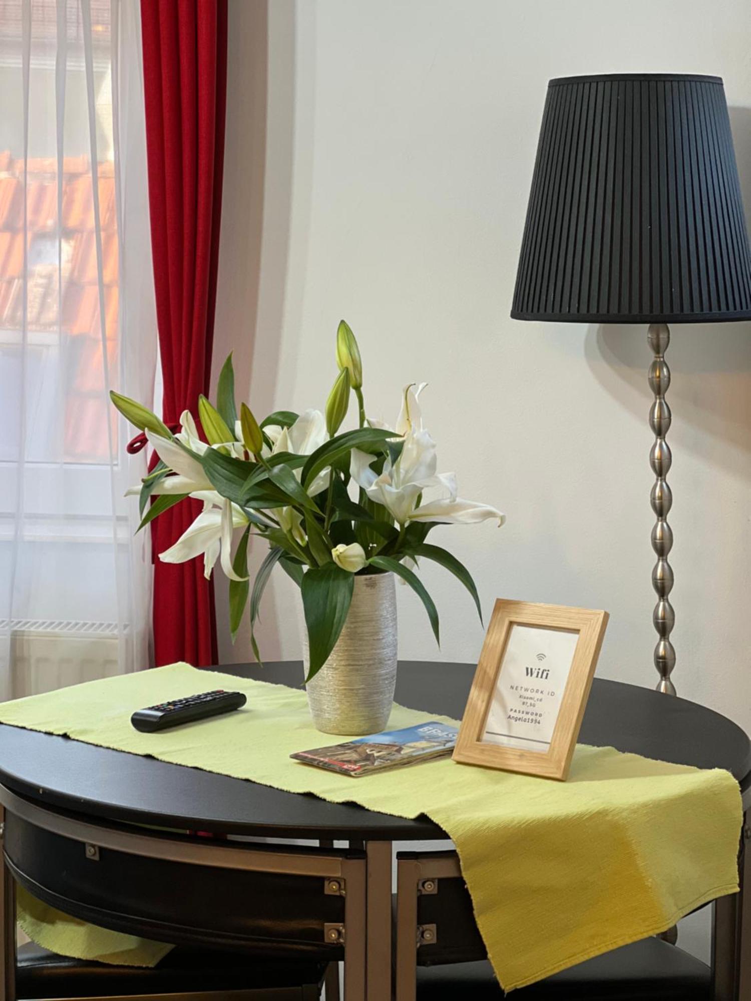 Rooftop Apartment Brasov